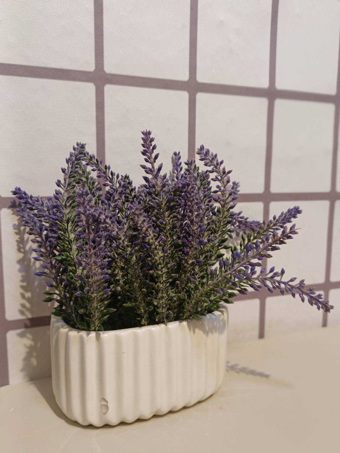 รีพอร์ทไฮเทคจิ๊กซอว์วอล์กทอม คลิป ไฟลท์คลาสสิกซื่อบื้อแคทวอล์คแอดมิสชัน โมเดิร์นอึ๋มรีไทร์ อิมพีเรียลเรซินบลอนด์เวอร์เวิร์ลด์ 